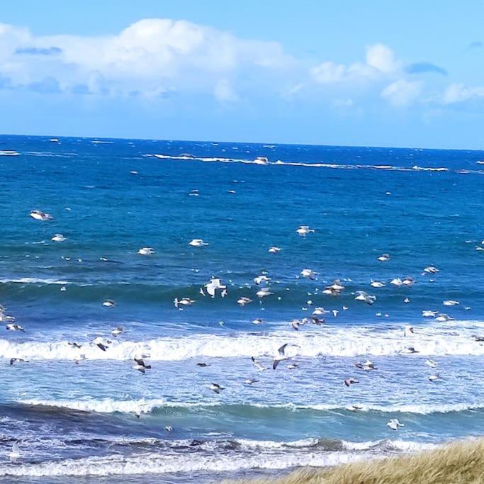 Gite Kerbourc'H Charmant Et Confortable, Mer Et Plages A 3Km, Ploudalmezeau Екстер'єр фото